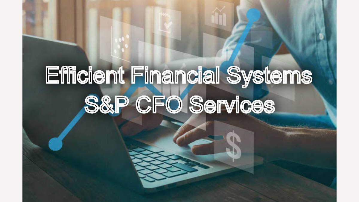Efficient Financial Systems: Implementation Tips from Professional Services